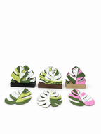 Mini Monstera and Monstera deliciosa coaster sets with individual leaves and beige, brown and black holders on a white background.