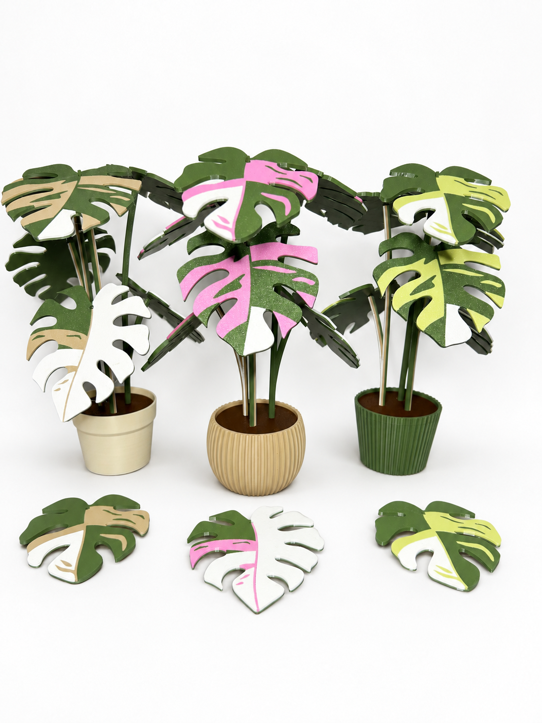 Beige, pink and light green Monstera coaster displays with three pot styles and loose leaf coasters on a white background.