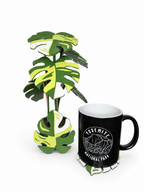 Light green, white and green Monstera coaster display beside a mug on a leaf coaster, photographed on a white background.
