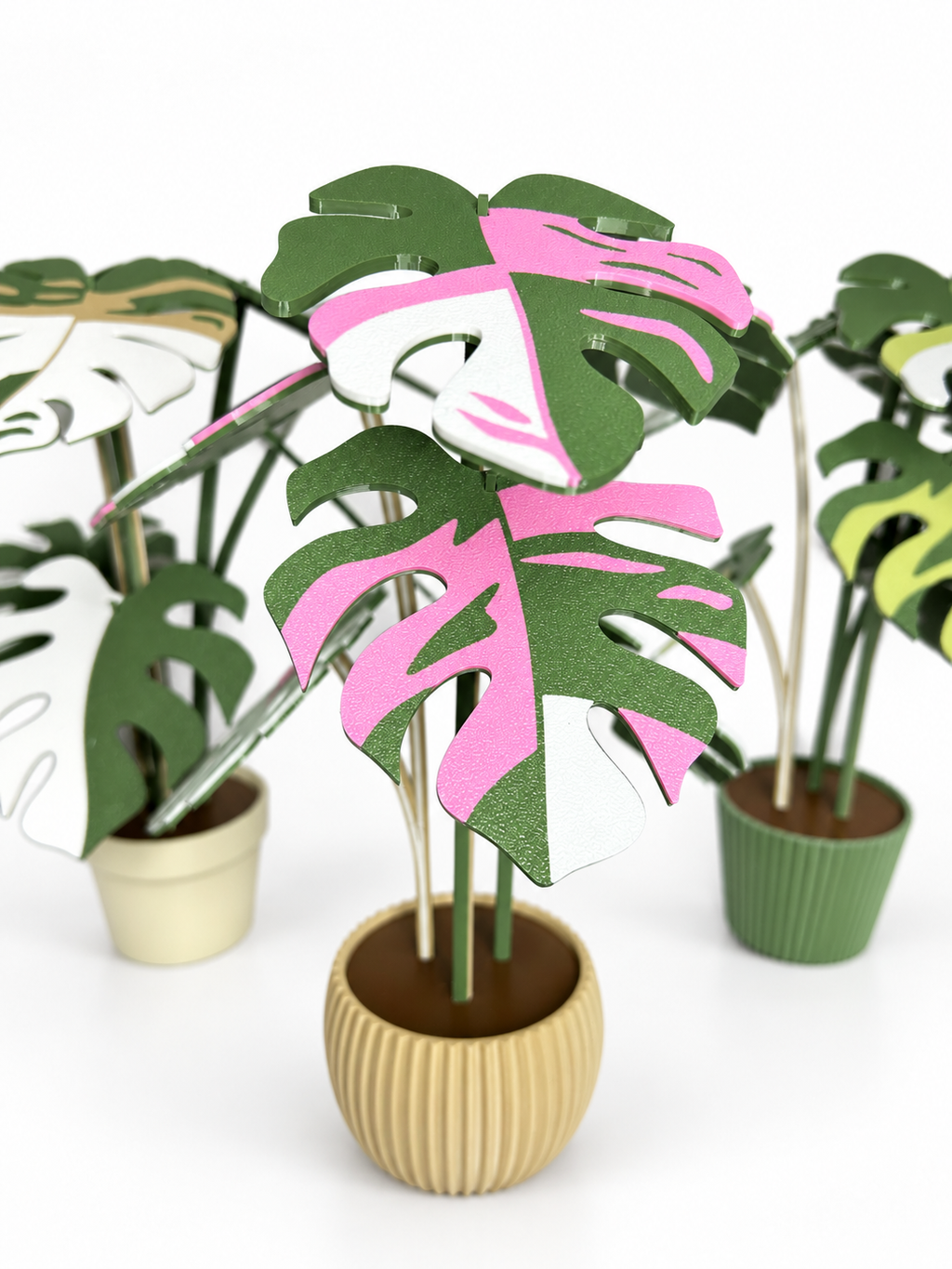 Close-up of pink, white and green Monstera leaf coasters above a rounded ribbed beige pot on a white background.